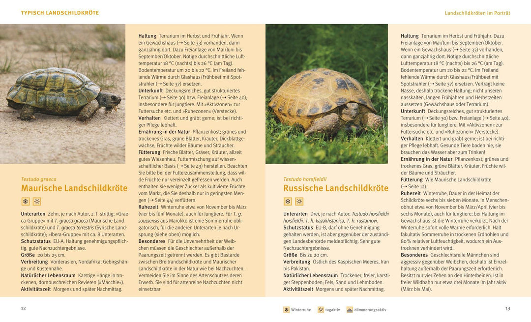 Landschildkröten | Wilke, Hartmut