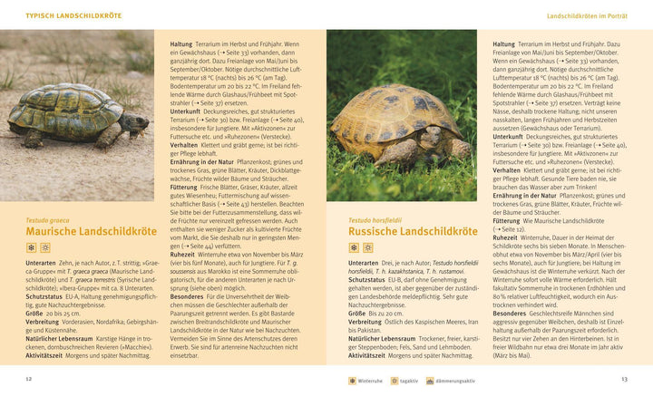 Landschildkröten | Wilke, Hartmut