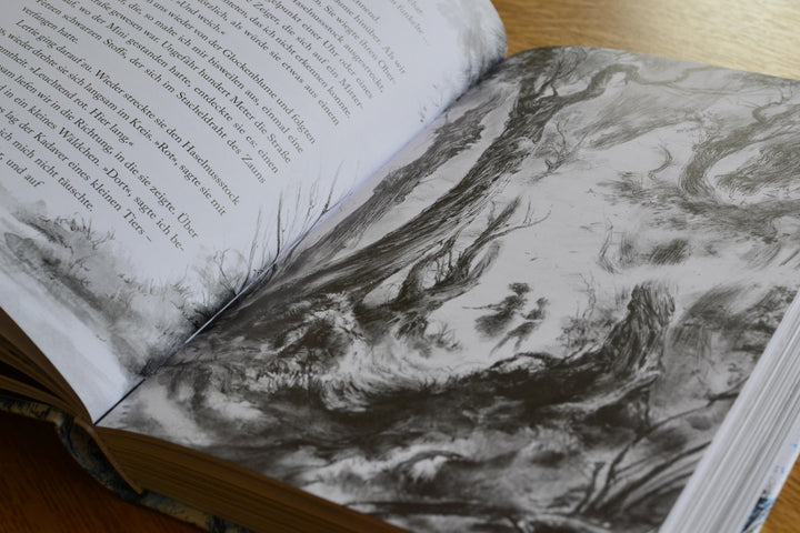 Der Ozean am Ende der Straße | Gaiman, Neil