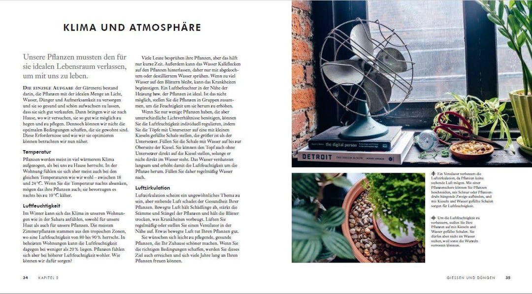 Grow in the Dark - Die schönsten Zimmerpflanzen für dunkle Räume und Plätze....