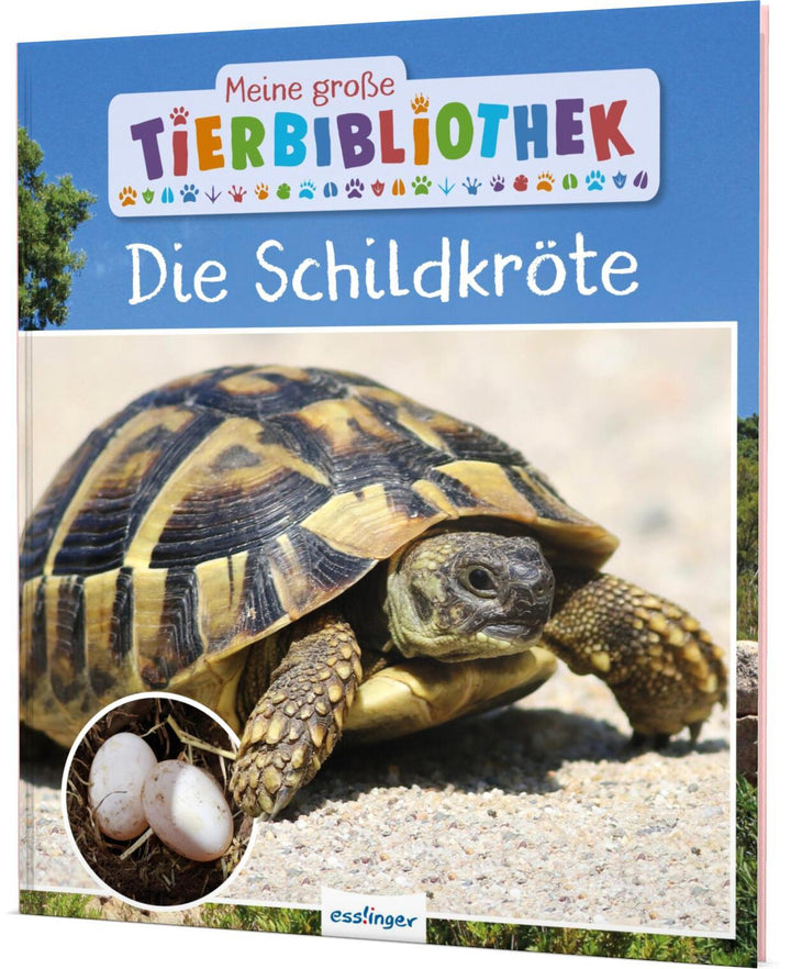 Meine große Tierbibliothek: Die Schildkröte | Gutjahr, Axel