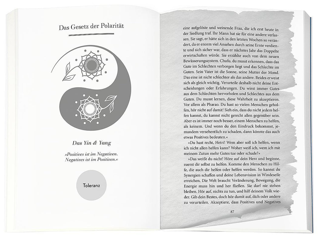 Higher Mind. Die Gesetze des Bewusstseins | Schwarz, Andreas