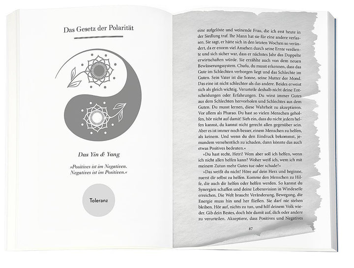 Higher Mind. Die Gesetze des Bewusstseins | Schwarz, Andreas