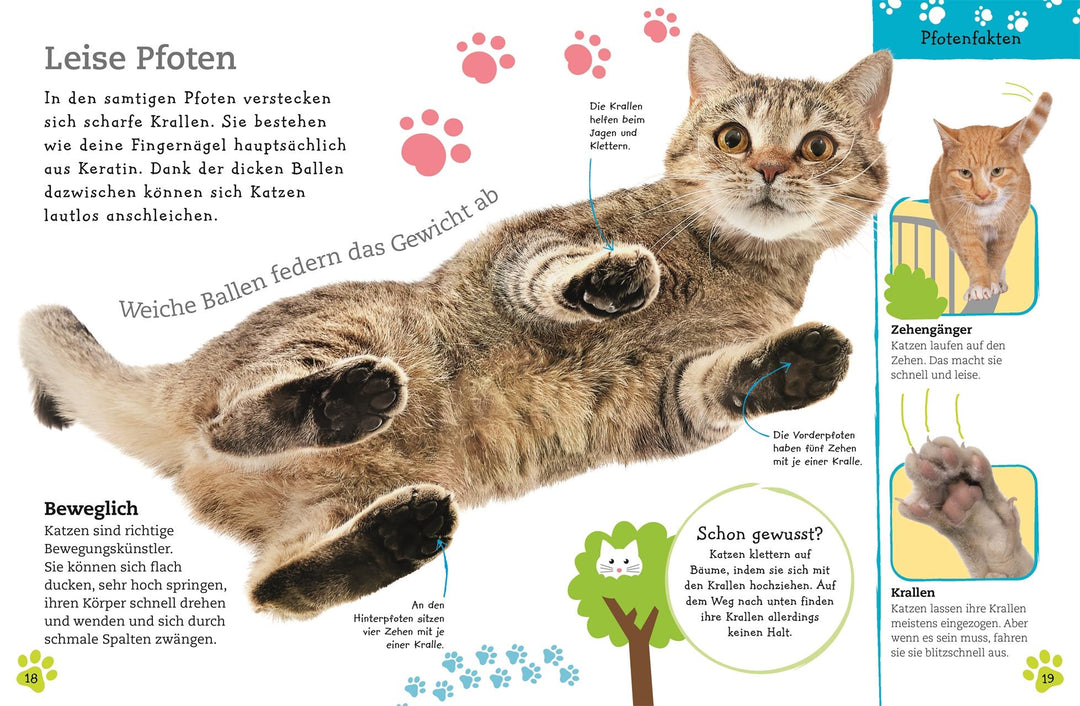 Alles über deine Katze | -