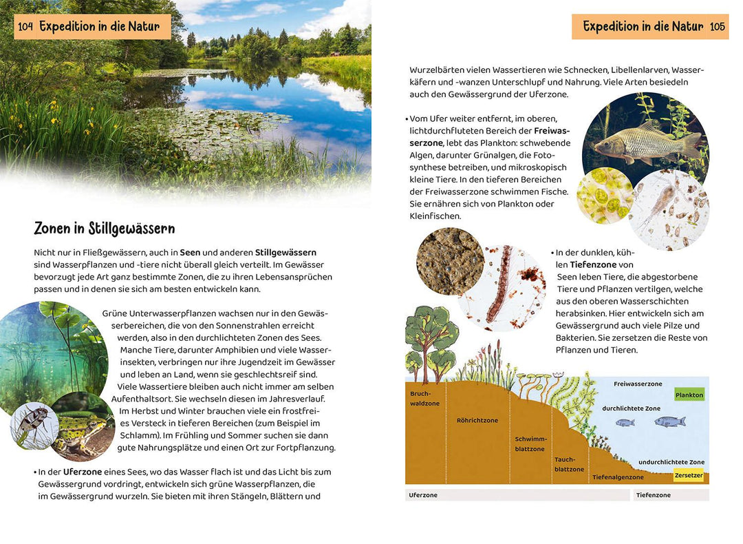 Was lebt an Bach und Teich? Kindernaturführer | Saan, Anita van