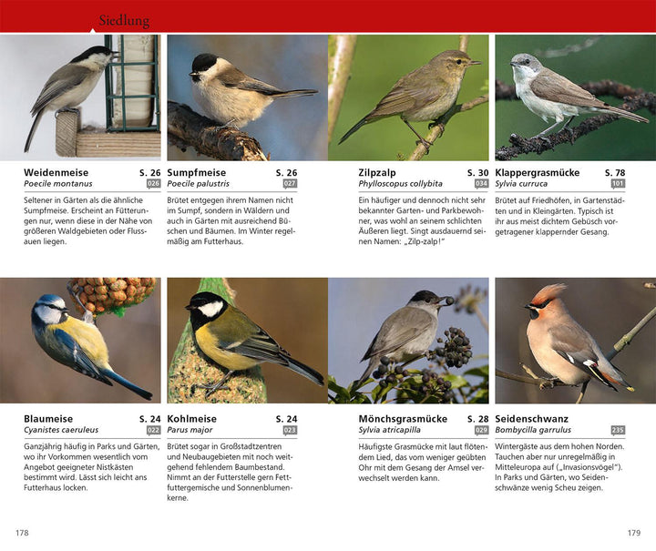 Kosmos Vogelführer für unterwegs | Hecker, Katrin | Hecker, Frank