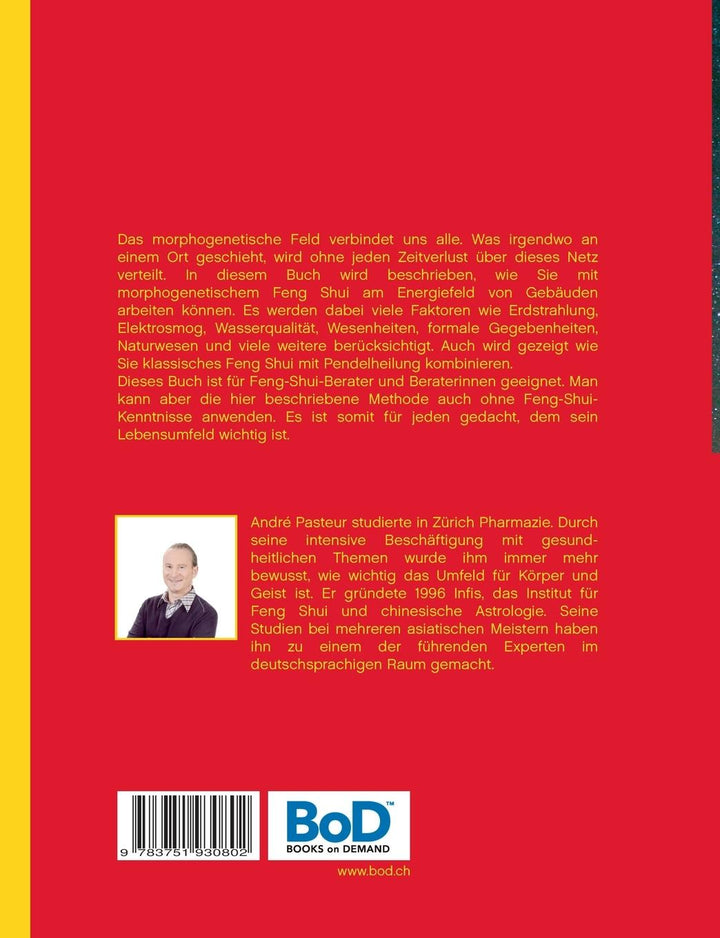 Feng Shui im morphogenetischen Feld | Pasteur, André