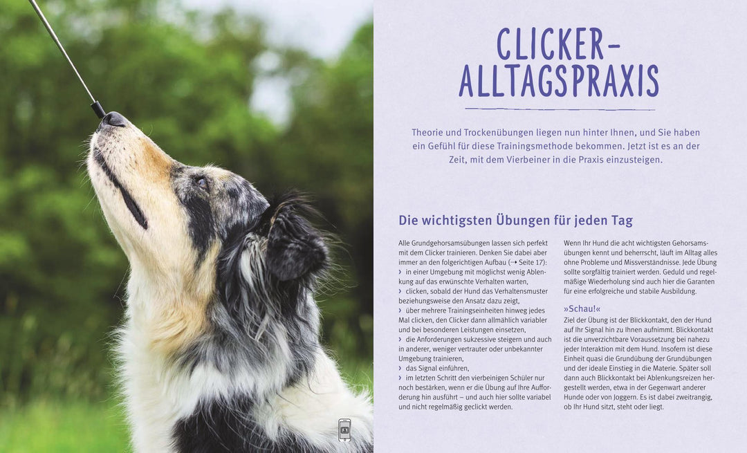 Hunde-Clickertraining | Schlegl-Kofler, Katharina
