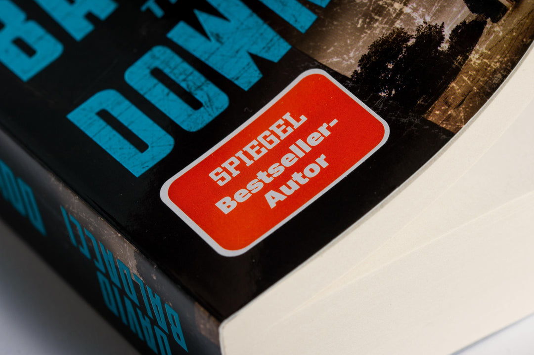 Downfall | Baldacci, David