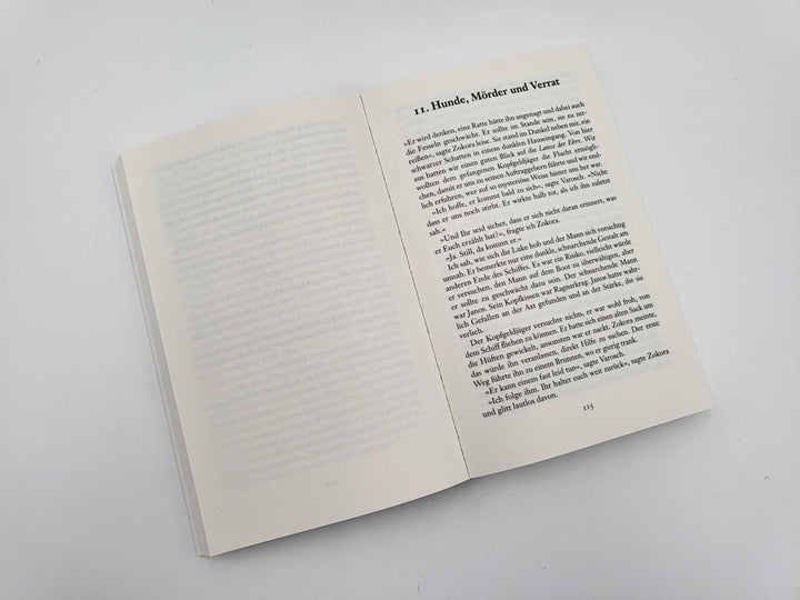 Das Auge der Wüste | Schwartz, Richard