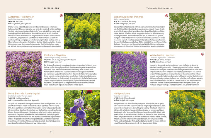 Und es wächst doch! | Matschiess, Torsten | Hofmann, Till