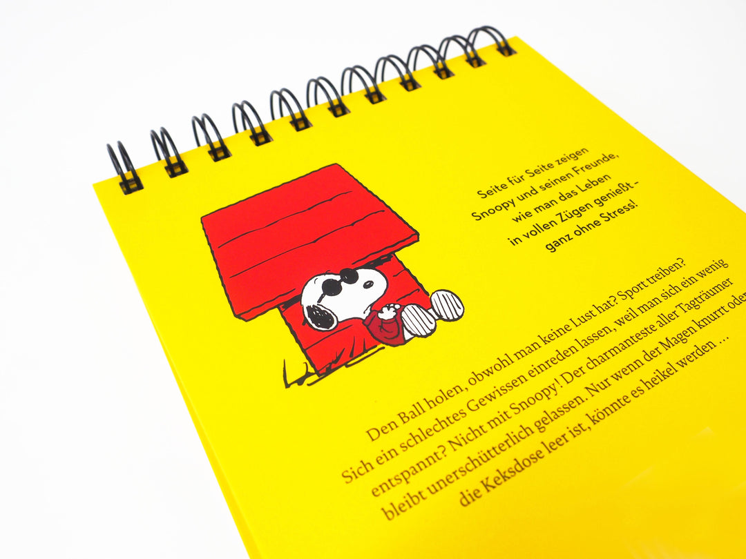 "Immer nach oben schauen ... das ist das Geheimnis des Lebens". Mit Snoopy g...