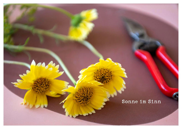 kleine Geste - Postkartenbuch | Brall, Stephanie