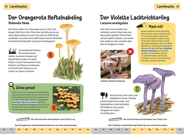 Welcher Pilz ist das? Kindernaturführer | Oftring, Bärbel | Böhning, Tanja