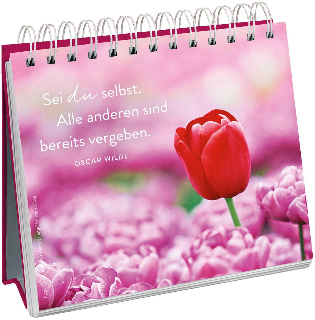 100 kleine Herzenswünsche für dich | -