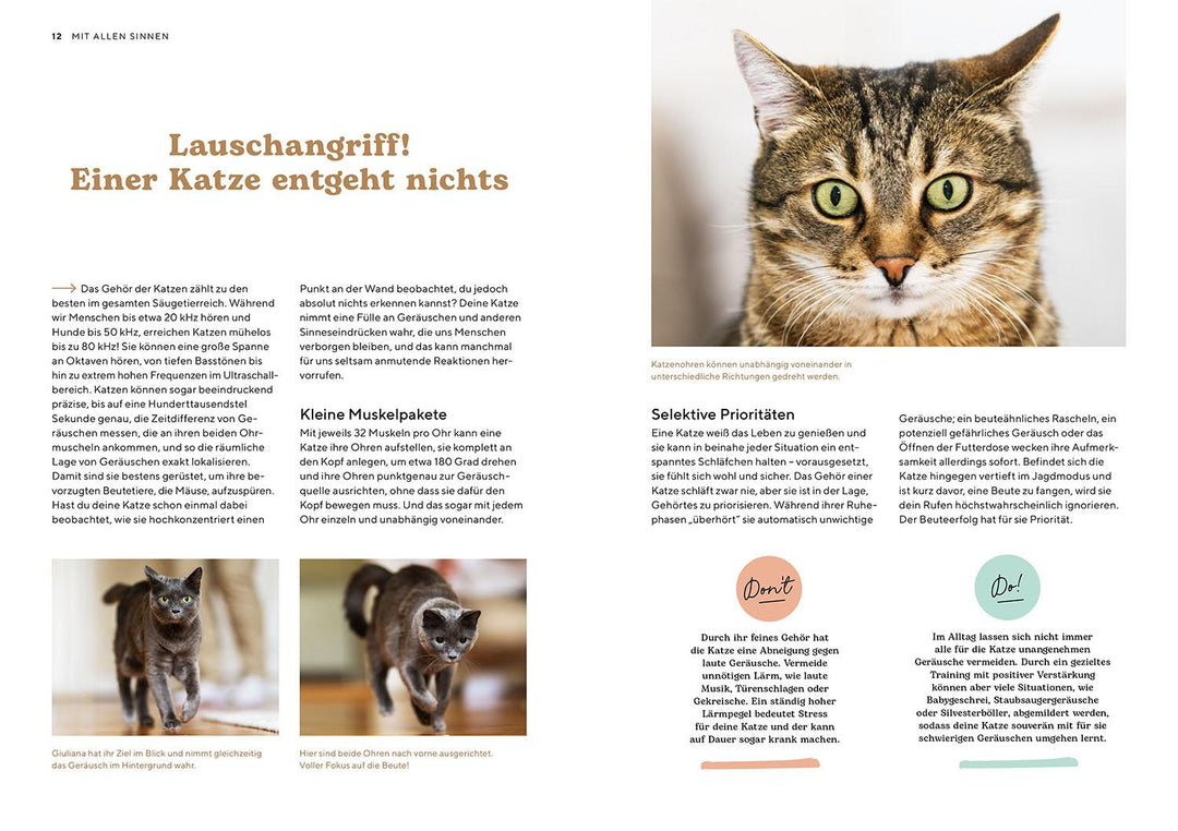 Katzensprache | Höfkes, Kerstin
