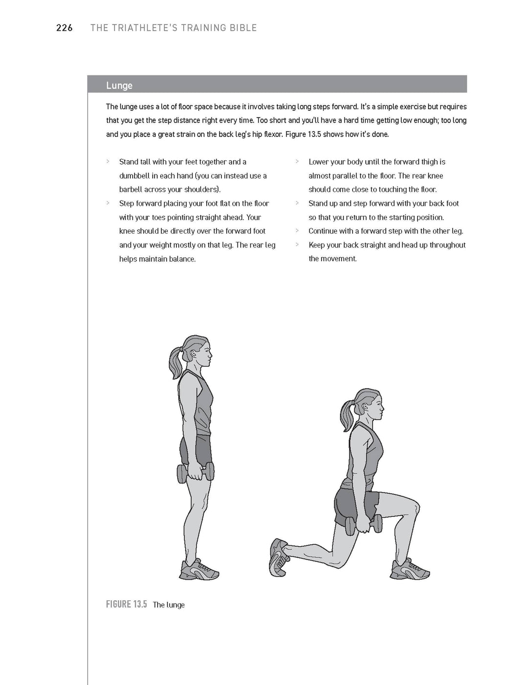 The Triathlete's Training Bible | Friel, Joe