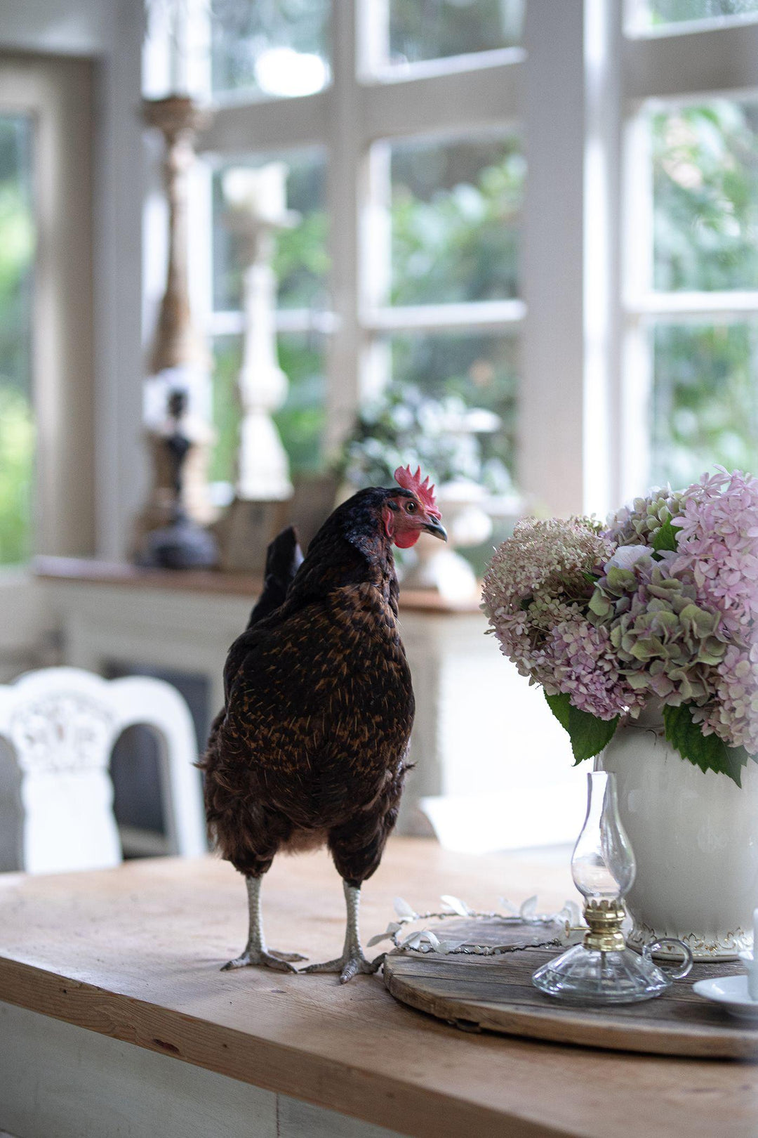 Französisches Landhaus-Flair | Kohler, Ramona Christina