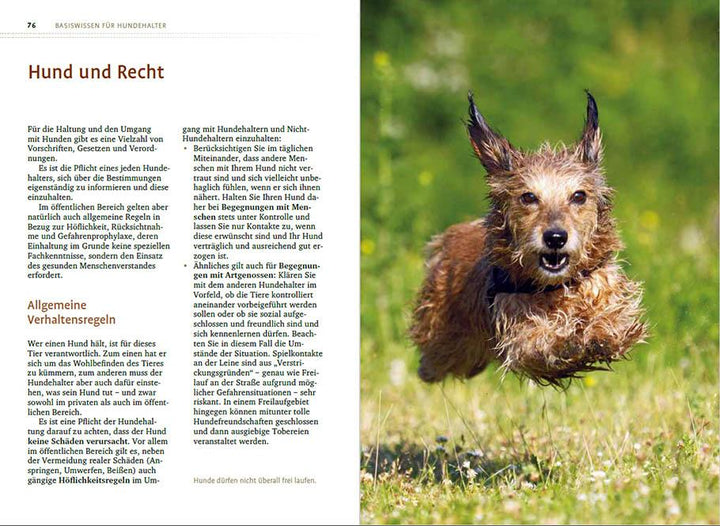 Sachkundenachweis für Hundehalter | Del Amo, Celina