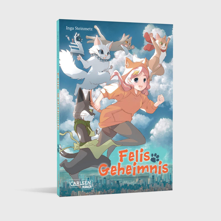 Felis Geheimnis | Steinmetz, Inga