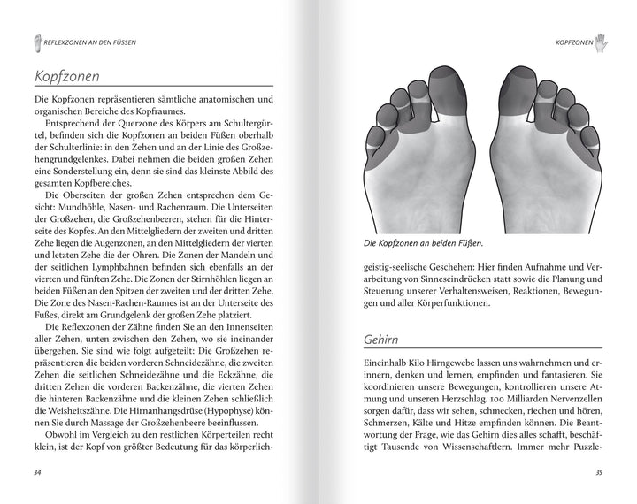 Reflexzonenmassage. Sanfte Selbstheilung von Kopf bis Fuß | Frohn, Birgit