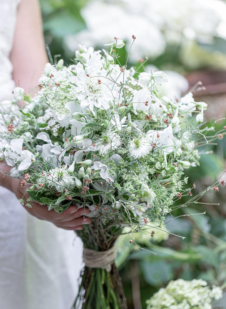 Französisches Landhaus-Flair | Kohler, Ramona Christina