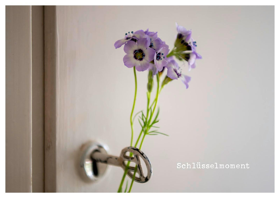 kleine Geste - Postkartenbuch | Brall, Stephanie