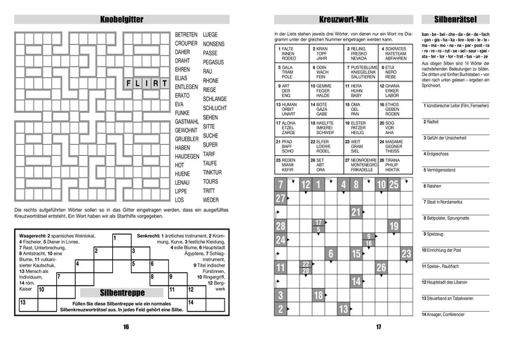 Großschrift Rätselmix | -