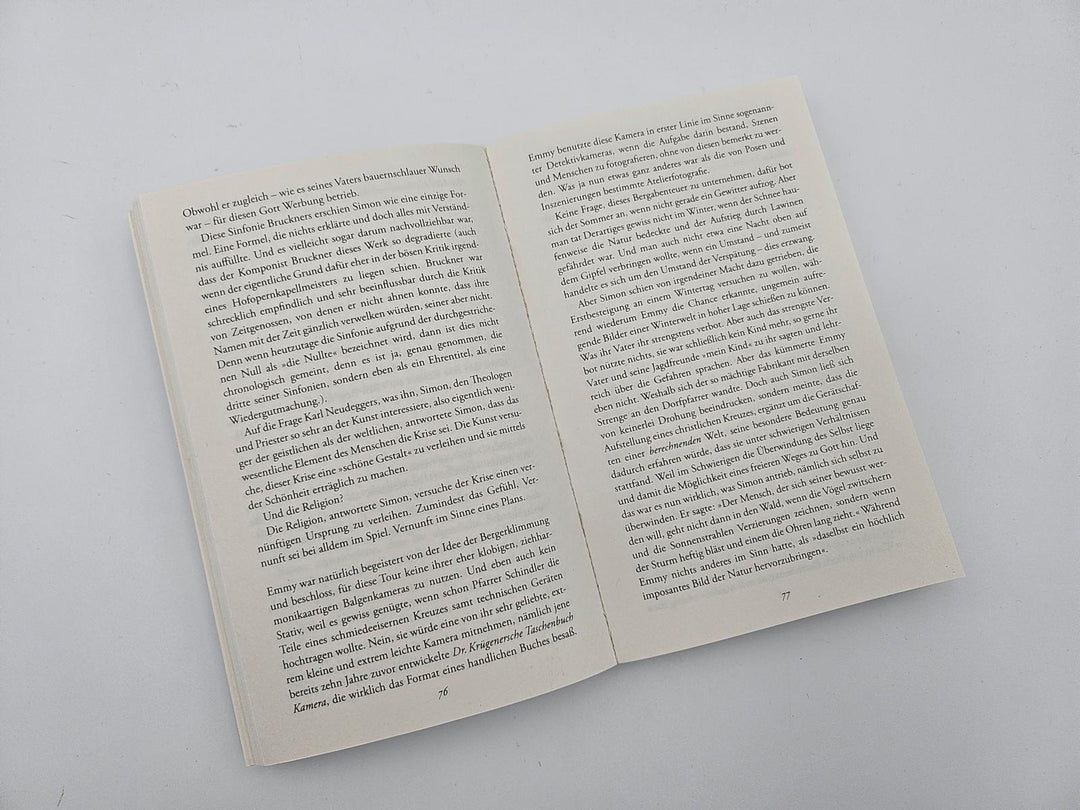 Der betrunkene Berg | Steinfest, Heinrich