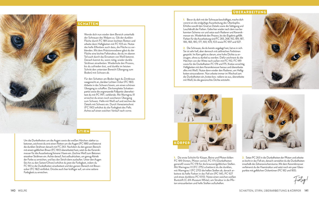 Zeichnen - Das große Buch der Tierporträts | Boehmer-Hoops, Susanne