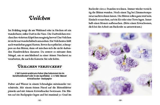 Das kleine Buch: Kräuterwanderung mit Kindern | Scheiblhofer, Ines