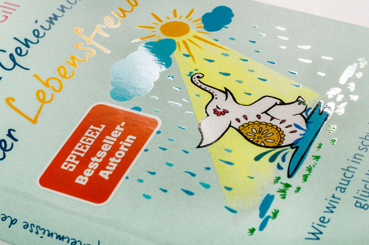 Die 12 Geheimnisse der Lebensfreude | Gill, Anjana