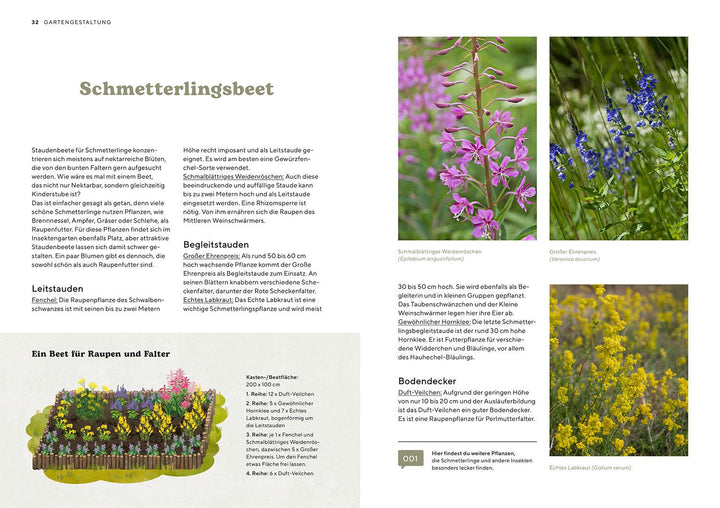 Mein Insektenparadies | Fedders, Mareike