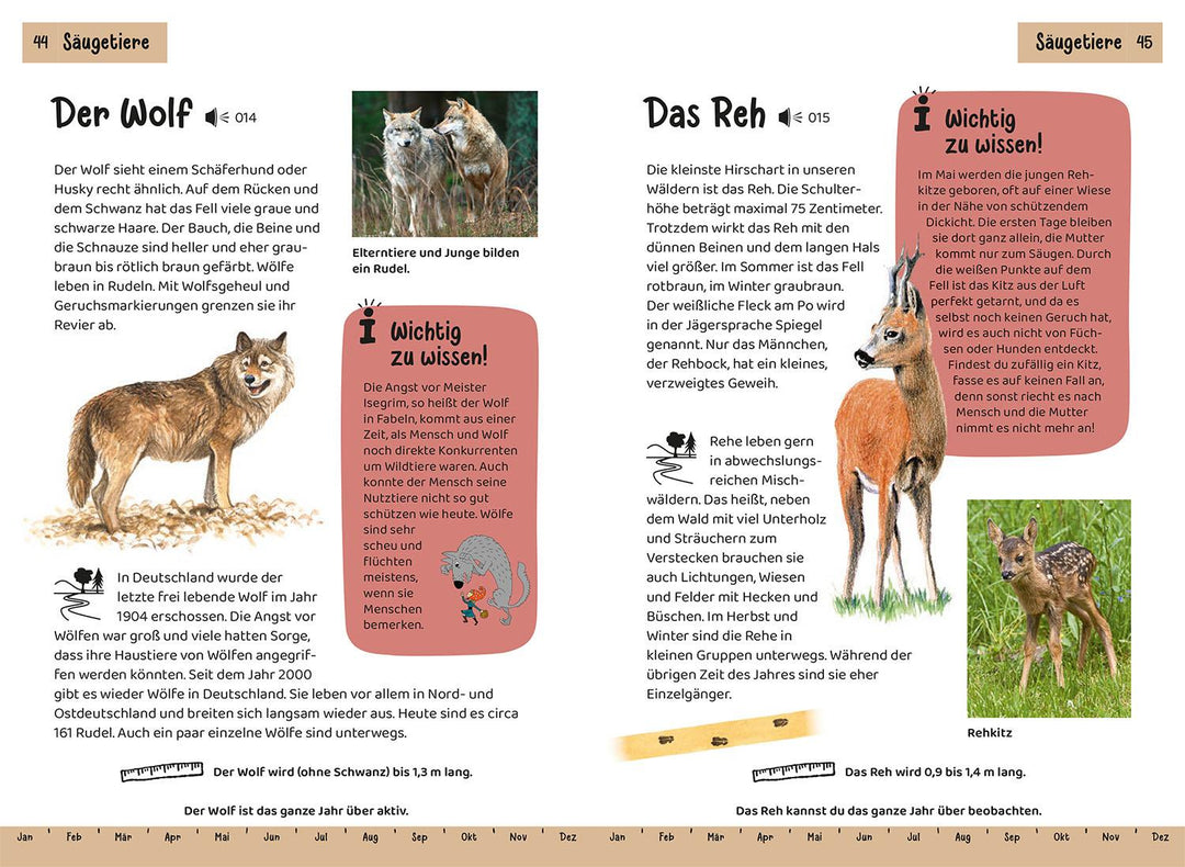 Was lebt im Wald? Kindernaturführer | Haag, Holger