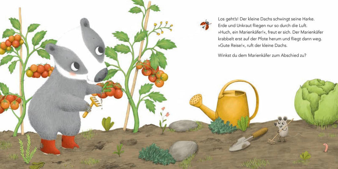 "Ich hab dich lieb", sagt der kleine Dachs | Kitzing, Constanze Von