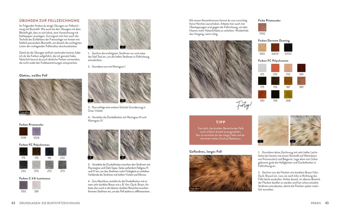 Zeichnen - Das große Buch der Tierporträts | Boehmer-Hoops, Susanne