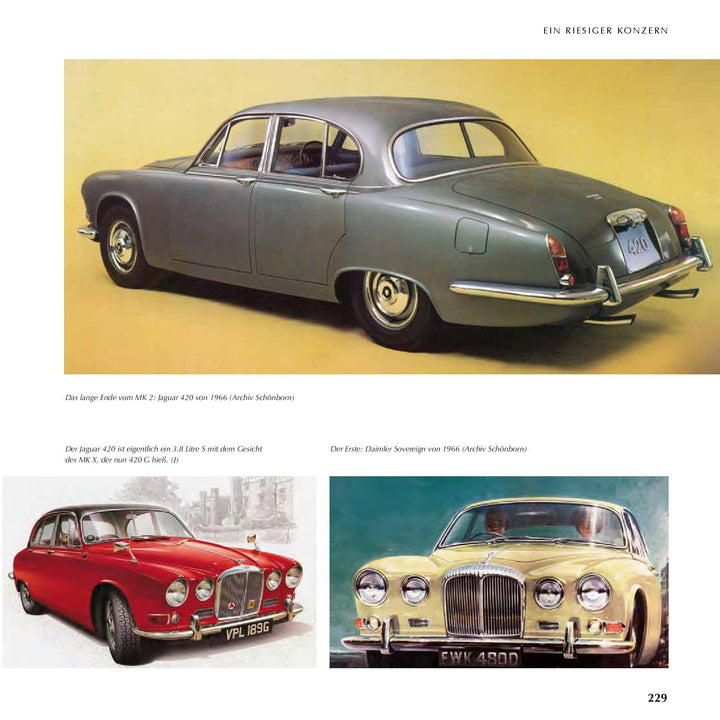 Jaguar - Die Chronik | Stertkamp, Heiner