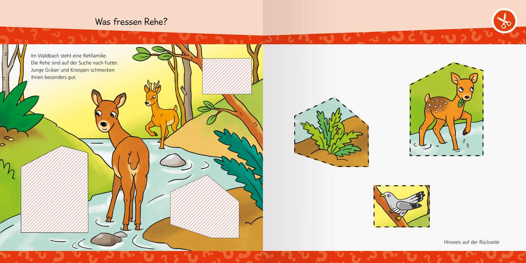 Wieso? Weshalb? Warum? junior AKTIV - Im Wald | -