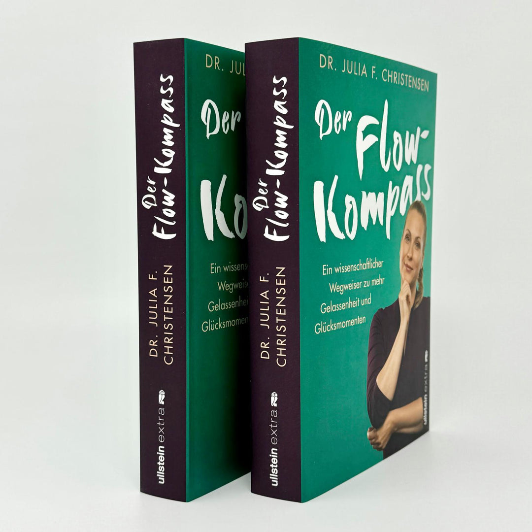 Der Flow-Kompass | Christensen, Julia F.