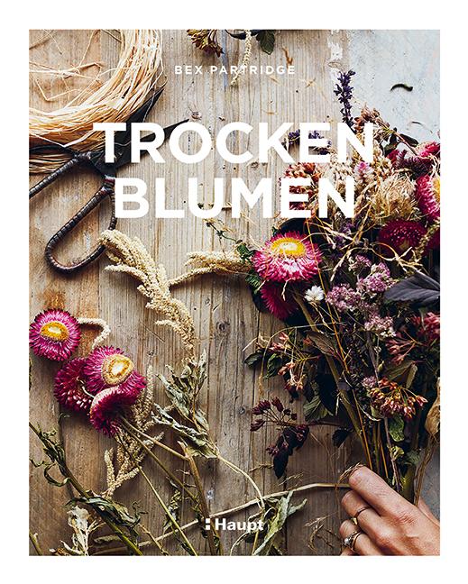 Trockenblumen | Partridge, Bex