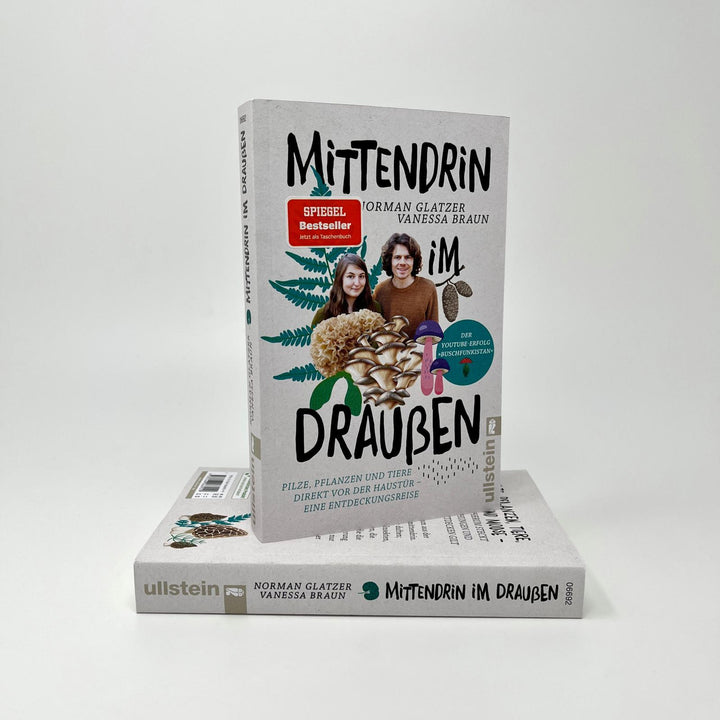 Mittendrin im Draußen | Glatzer, Norman | Braun, Vanessa