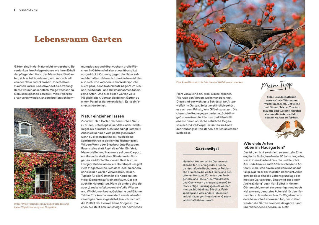 Vogelparadies Garten | Schmid, Ulrich