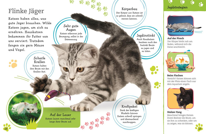 Alles über deine Katze | -