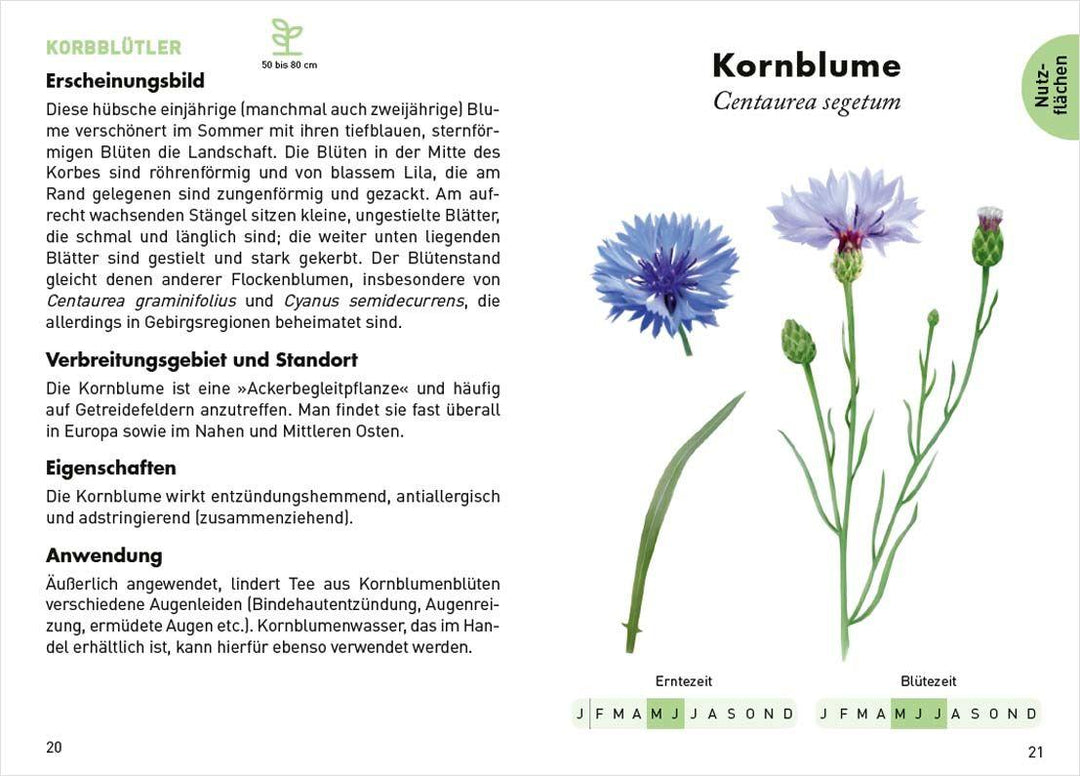 Anaconda Taschenführer Heilpflanzen. 70 Arten entdecken und bestimmen | Peyr...