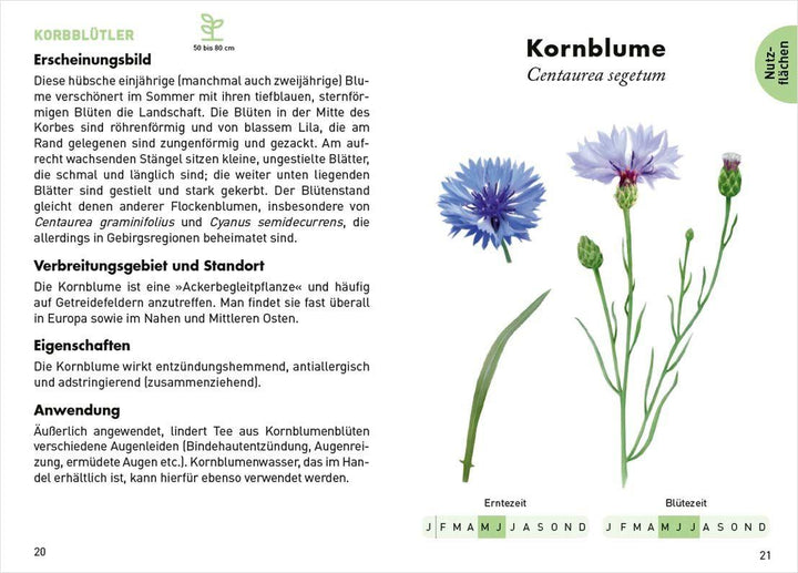 Anaconda Taschenführer Heilpflanzen. 70 Arten entdecken und bestimmen | Peyr...