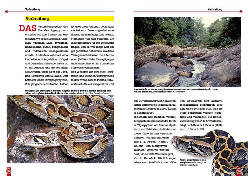 Der dunkle Tigerpython | Zeddelmann, Moritz von