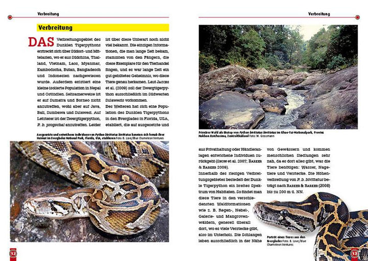 Der dunkle Tigerpython | Zeddelmann, Moritz von