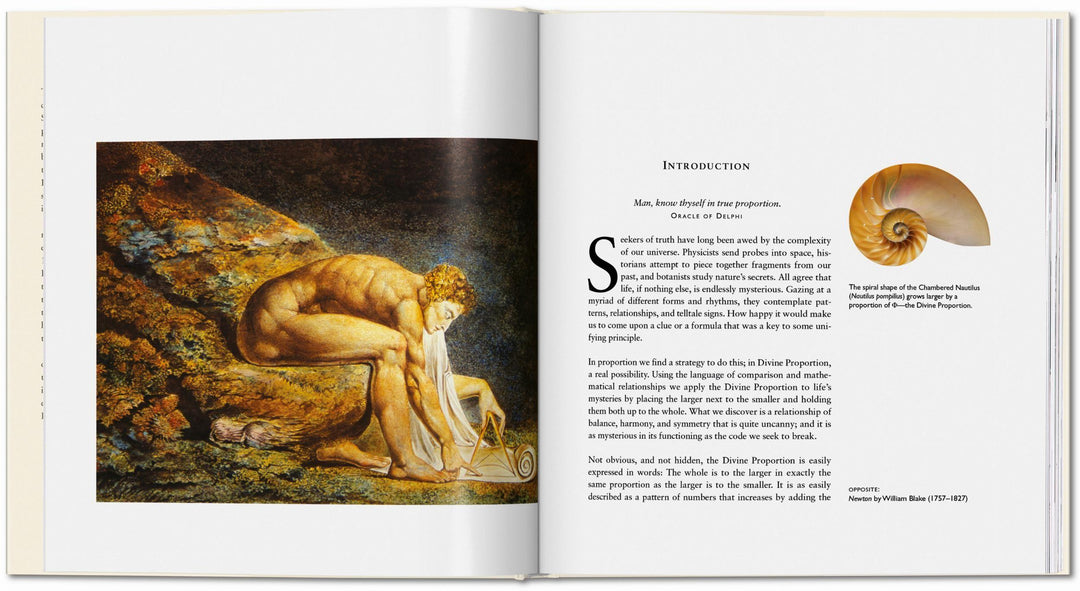 Der Geheime Code | Hemenway, Priya