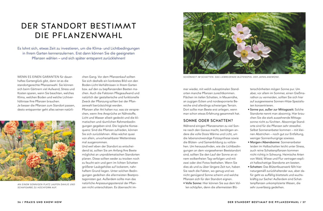 Schöne Beete für Faule | Weigelt, Lars