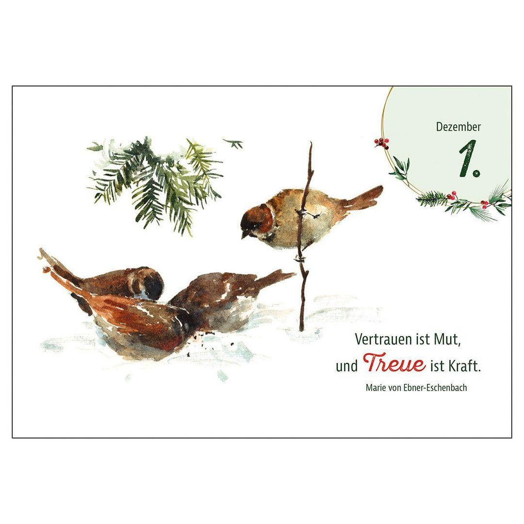 Heimische Tiere im Winter - der Adventskalender | -